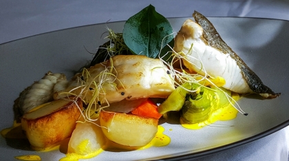 Filet de turbot